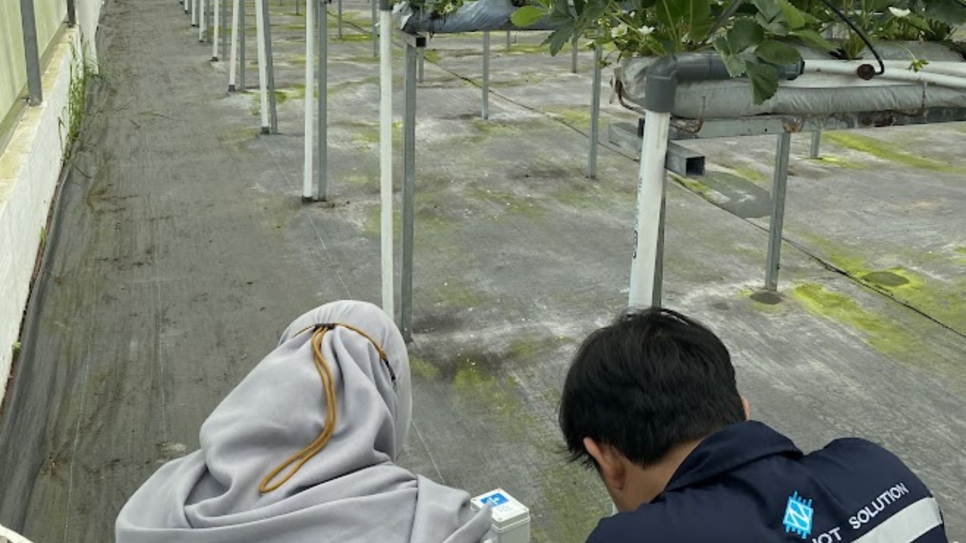 FluxBox Custom Development – Purwokerto